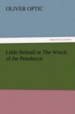 Little Bobtail or The Wreck of the Penobscot.