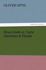 Down South or, Yacht Adventure in Florida