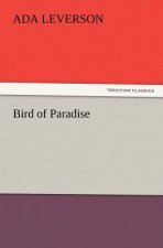 Bird of Paradise