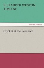 Cricket at the Seashore