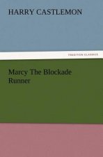 Marcy The Blockade Runner