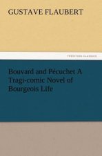 Bouvard and Pecuchet A Tragi-comic Novel of Bourgeois Life