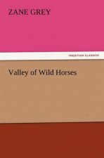 Valley of Wild Horses