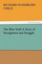Blue Wall A Story of Strangeness and Struggle