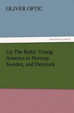 Up The Baltic Young America in Norway, Sweden, and Denmark