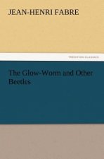 Glow-Worm and Other Beetles