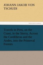 Travels in Peru, on the Coast, in the Sierra, Across the Cordilleras and the Andes, Into the Primeval Forests