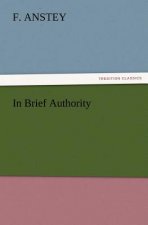 In Brief Authority