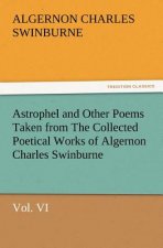 Astrophel and Other Poems Taken from the Collected Poetical Works of Algernon Charles Swinburne, Vol. VI