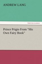 Prince Prigio from His Own Fairy Book