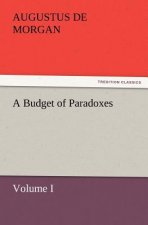 Budget of Paradoxes, Volume I