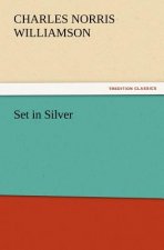 Set in Silver