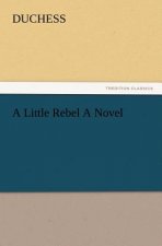 Little Rebel a Novel