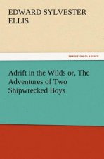 Adrift in the Wilds Or, the Adventures of Two Shipwrecked Boys
