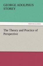 Theory and Practice of Perspective