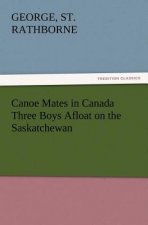 Canoe Mates in Canada Three Boys Afloat on the Saskatchewan