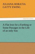 Flat Iron for a Farthing or Some Passages in the Life of an Only Son