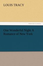 One Wonderful Night a Romance of New York