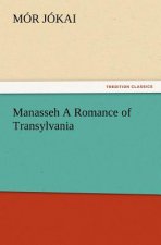 Manasseh a Romance of Transylvania