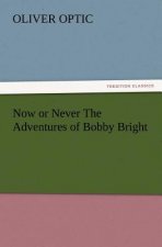 Now or Never the Adventures of Bobby Bright