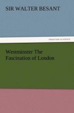 Westminster the Fascination of London