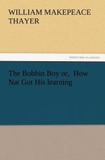 Bobbin Boy Or, How Nat Got His Learning