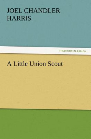 Little Union Scout
