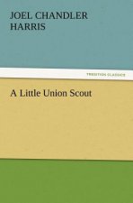 Little Union Scout