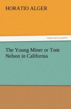 Young Miner or Tom Nelson in California