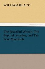 Beautiful Wretch, the Pupil of Aurelius, and the Four Macnicols