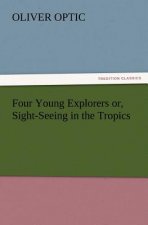 Four Young Explorers or, Sight-Seeing in the Tropics