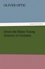 Down the Rhine Young America in Germany