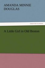 Little Girl in Old Boston