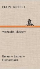 Wozu Das Theater?