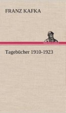 Tagebucher 1910-1923