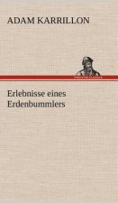 Erlebnisse Eines Erdenbummlers