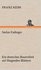 Stefan Fadinger