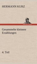 Gesammelte Kleinere Erzahlungen, 4. Teil