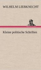Kleine Politische Schriften