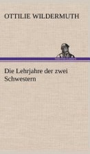 Die Lehrjahre Der Zwei Schwestern