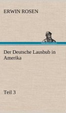 Deutsche Lausbub in Amerika - Teil 3