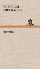 Sturmflut