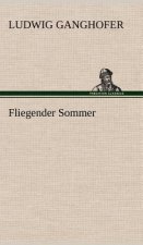 Fliegender Sommer