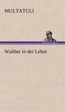 Walther in Der Lehre