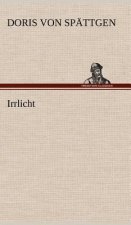 Irrlicht