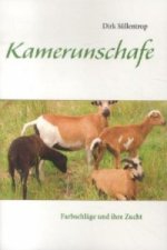 Kamerunschafe