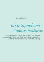 Erste Symphonie