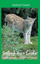 Seelenfuhrer Luchs