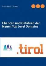 Chancen und Gefahren der Neuen Top Level Domains