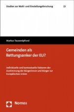 Gemeinden als Rettungsanker der EU?